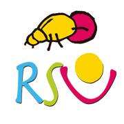 RSU