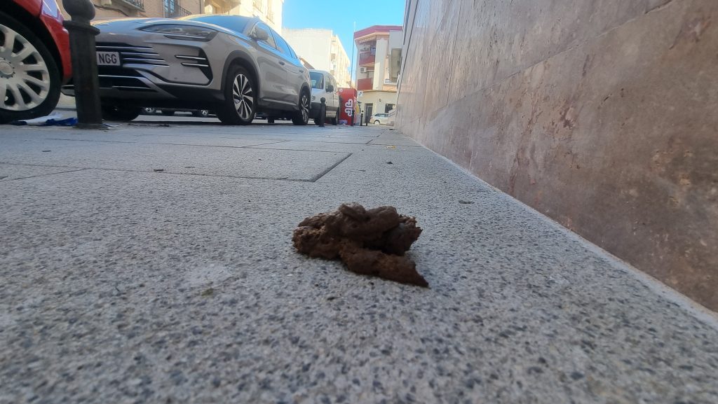Valdepeñas tramitó 103 sanciones por deposiciones caninas en la vía pública en los dos últimos años